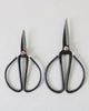 Set of two vintage bonsai scissors in carbon steel, small and medium sizes, handcrafted tool
