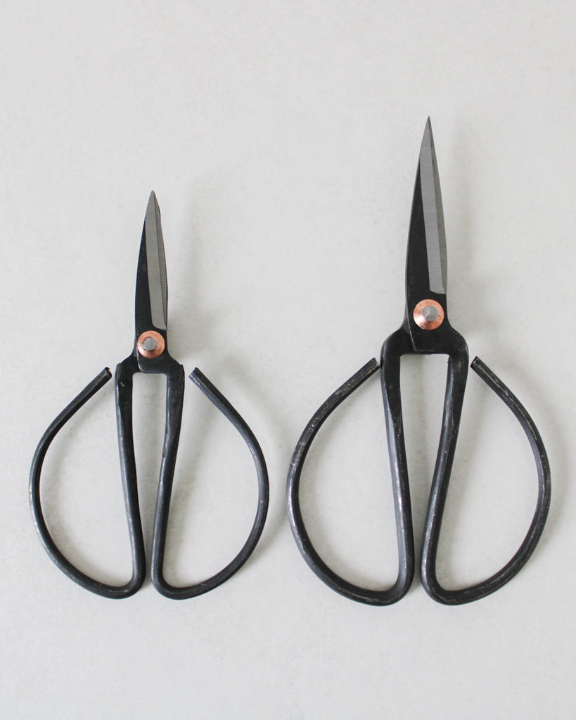 Set of two vintage bonsai scissors in carbon steel, small and medium sizes, handcrafted tool